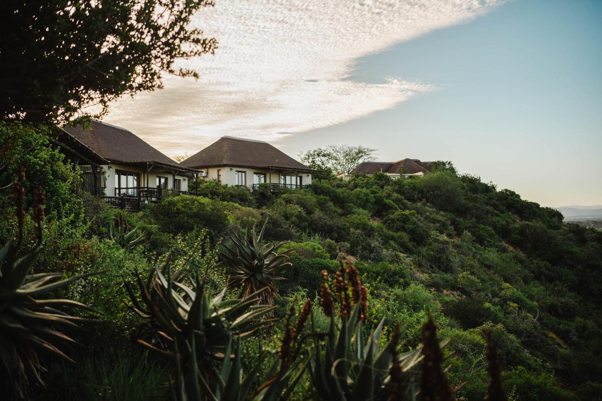 Hitgeheim Country Lodge Аддо Екстер'єр фото